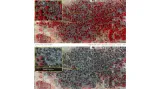 Satelitní snímky: Nigerijská města před útokem Boko Haram a po něm