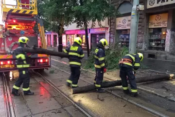 V Liberci zemřel při bouřce muž, na kterého spadl strom