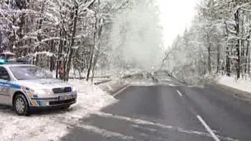 Situaci na silnicích komplikují popadané stromy