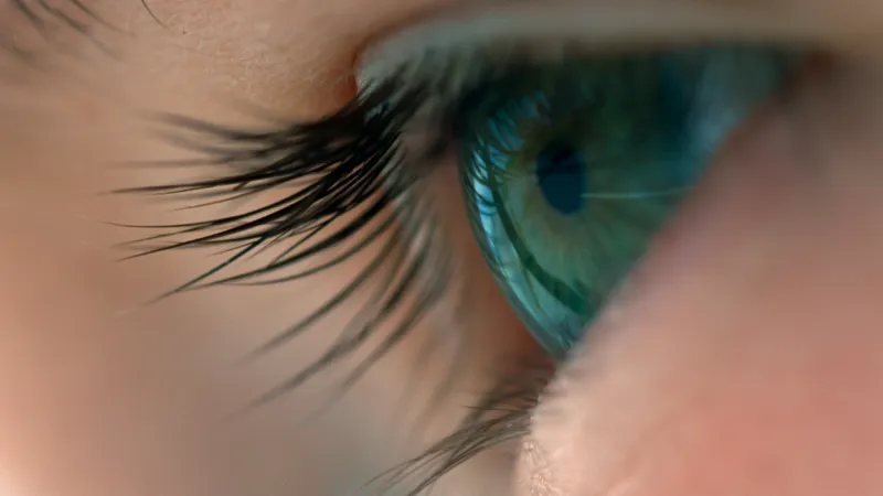 Cesta času Terrence Malicka