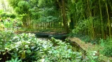 Monetova zahrada v Giverny