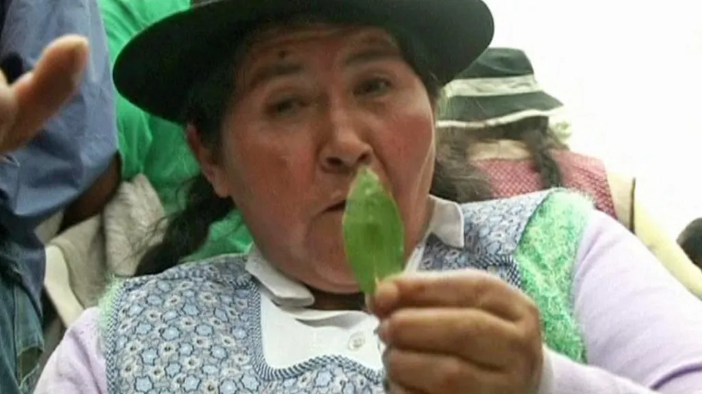 Bolivijská demonstrantka s lístkem koky