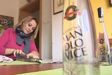 Mladým matkám pomůže s podnikáním projekt Ženy s.r.o.