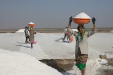 Solná poušť v Indii je lákadlem pro turisty a tvrdou dřinou pro místní dělníky