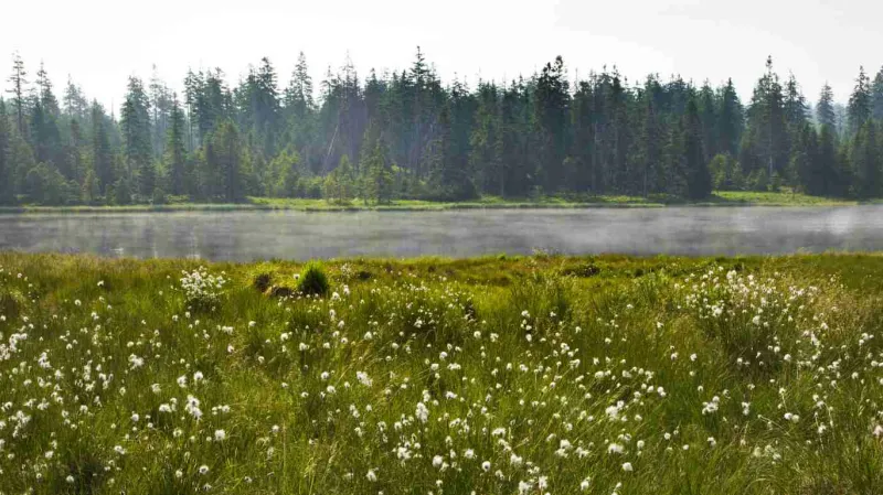 Příroda v připravované CHKO Krušné hory