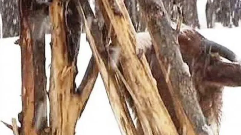 Latinská Amerika se potýká s mrazy