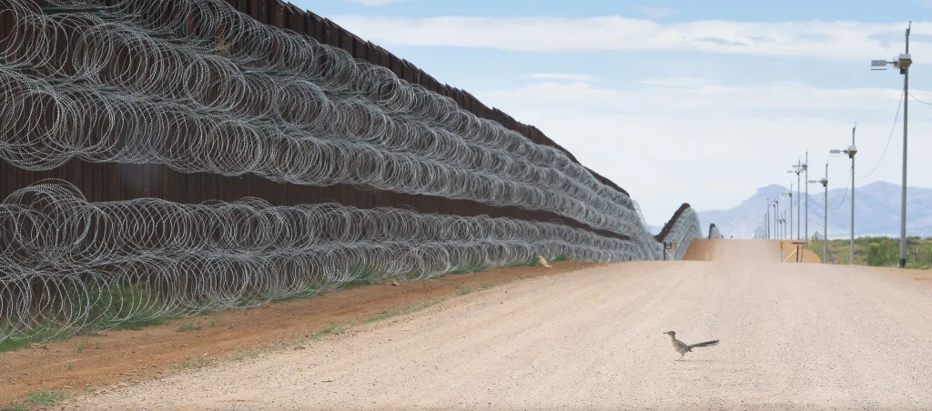 2. místo NATURE –⁠ SINGLES: Roadrunner Approaching the Border Wall (Kukačka kohoutí se blíží k hraniční zdi)