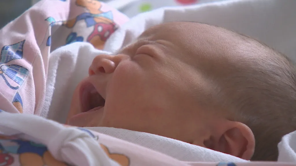 Ilustrační snímek