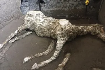 Koně osedlal, uprchnout nestihl. Nový objev z Pompejí ukazuje, jaká byla smrt v sopečném oblaku 