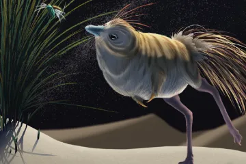 Vědci popsali prvního nočního dinosaura. Měl obří oči a paže vzpěrače