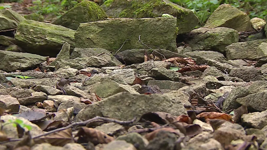 Gránický potok vysychá pravidelně každý rok