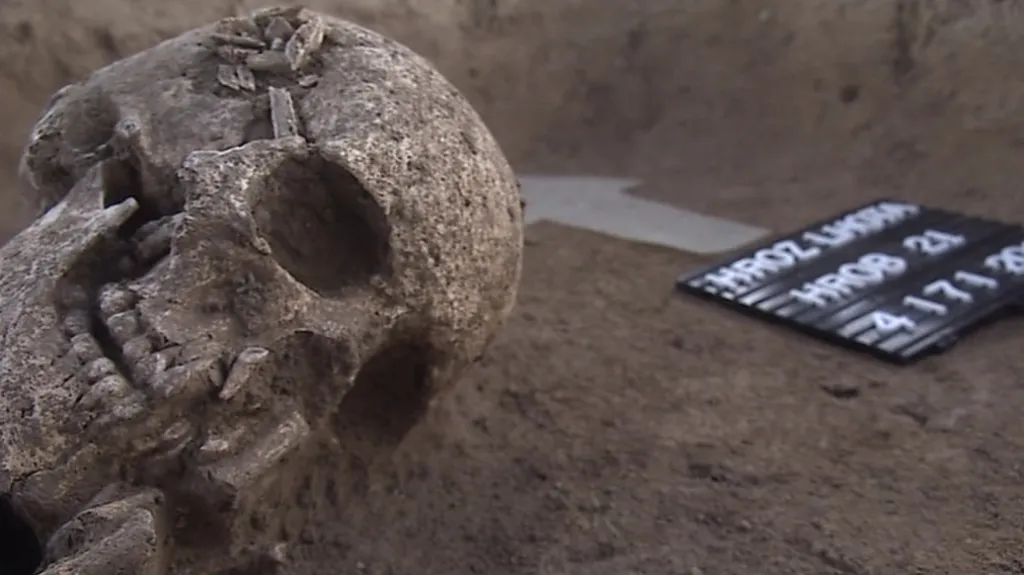 Kostry pocházejí z doby bronzové