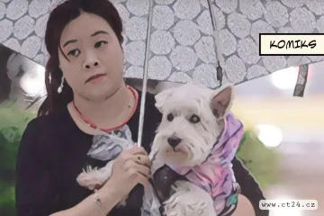 Tchajwanci dávají přednost zvířatům před dětmi