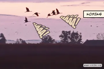 Kvůli změnám klimatu přestávají ptáci migrovat