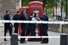 Policie v Londýně zadržela muže podezřelého z přípravy útoku. U sebe měl nože