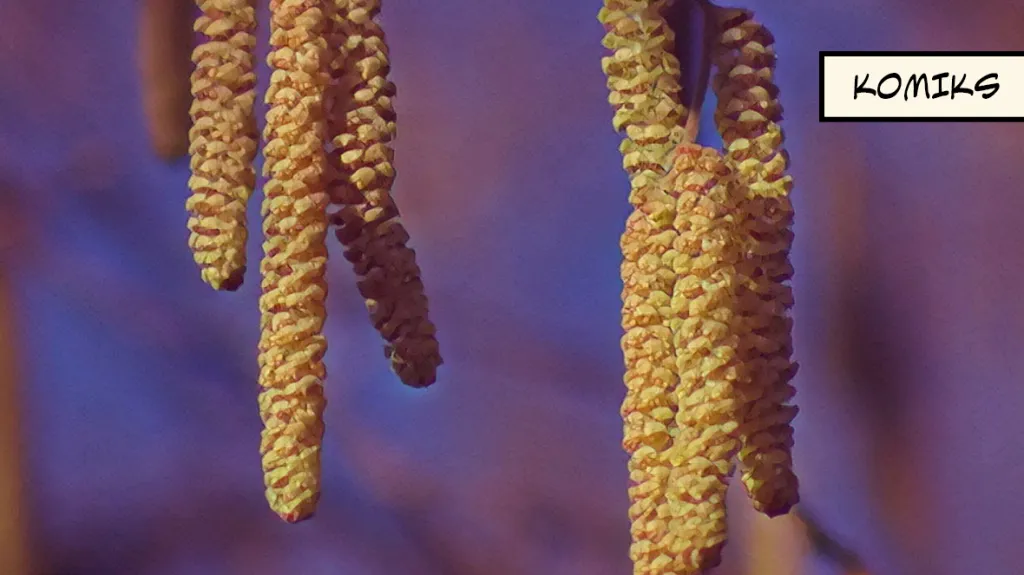 Teplé počasí nesvědčí alergikům