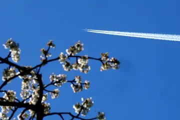 Ceny leteckého paliva mohou zkomplikovat dovolené v zahraničí
