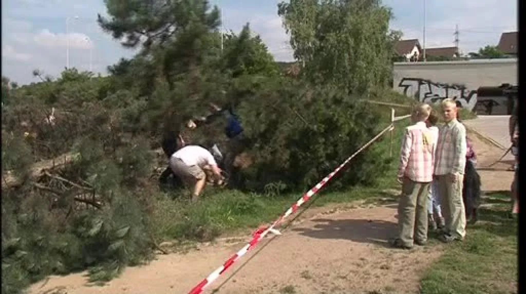 Lidé protestují proti kácení borovic v Brně-Líšni