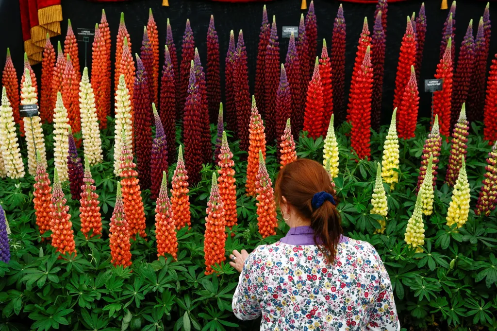 Chelsea Flower Show 2019