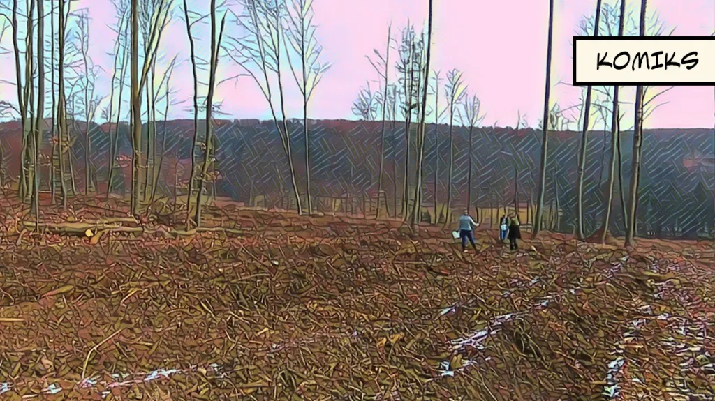 Odolné stromy by mohly vytlačit kůrovce