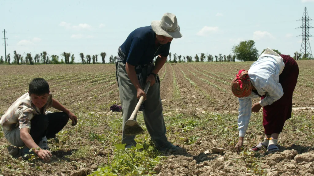Uzbečtí farmáři (ilustrační foto)