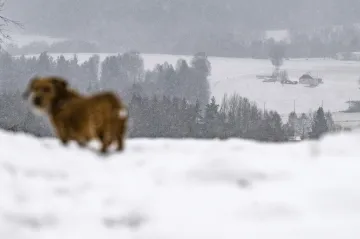 Na přelomu roku se čeká sníh a teploty pod průměrem