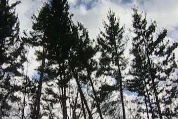 Přes Jeseníky se přehnal orkán. Platí výstraha meteorologů