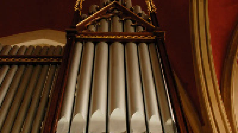 Varhany v kostele sv. Prokopa