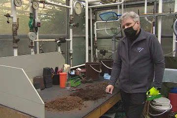  Vědci z Mendelovy univerzity zkoumají mykobakterie. Některé mohou způsobit vážná onemocnění