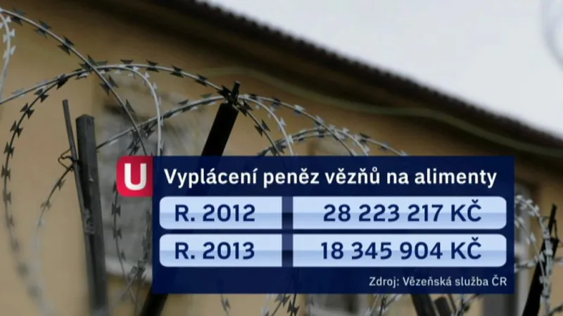 Vyplácení peněz vězňů na alimenty