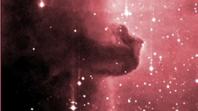 Snímek mlhoviny Koňská hlava (upraven do nepravých barev) byl pořízen v noci 28. února 2003