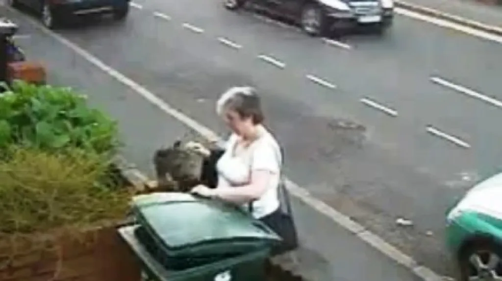 Žena vyhodila kočku do popelnice
