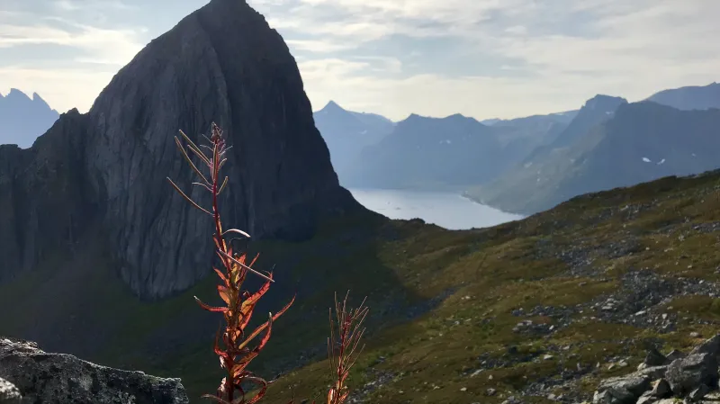 Výhled na Seglu při výstupu na Hesten na ostrově Senja