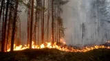 Lesní požáry ve Švédsku