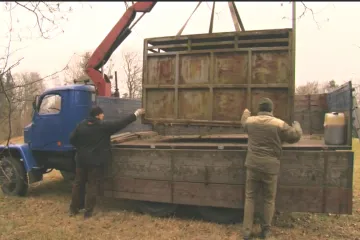 Medvěd už tři týdny neškodil. Ochranáři prázdnou odchytovou klec opět odvezli