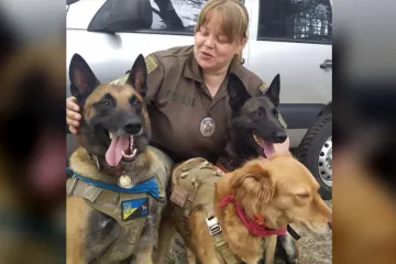 Кінологічний центр та його участь у війні