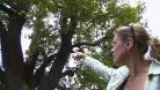 Blesk poničil jeden z nejstarších stromů v Podkrušnohorském zooparku v Chomutově