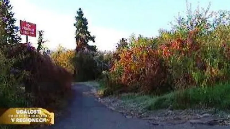 Ani po deseti dnech policie Aničku nenašla