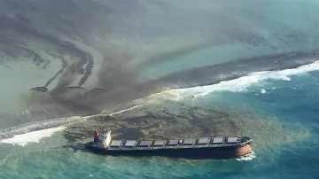 Japonská námořní loď MV Wakashio způsobila u pobřeží ostrova Mauricius ekologickou katastrofu
