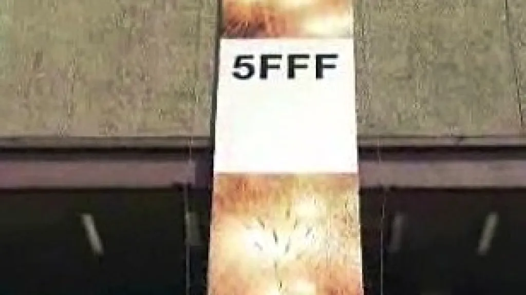 Pátý ročník Fresh Film Festu