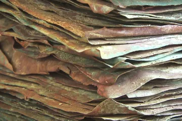 V moři u Nizozemska náhodou narazili na 500 let starý vrak. Vezl náklad nejbohatší rodiny světa