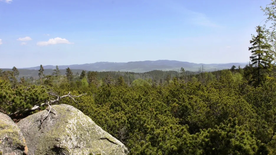 Šumava