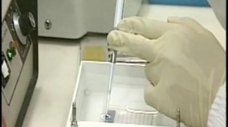 Evropští ministři zahraničí budou jednat o prasečí chřipce