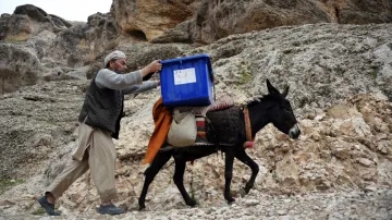 Afghánské volby se neobejdou bez tradičního způsobu dopravy