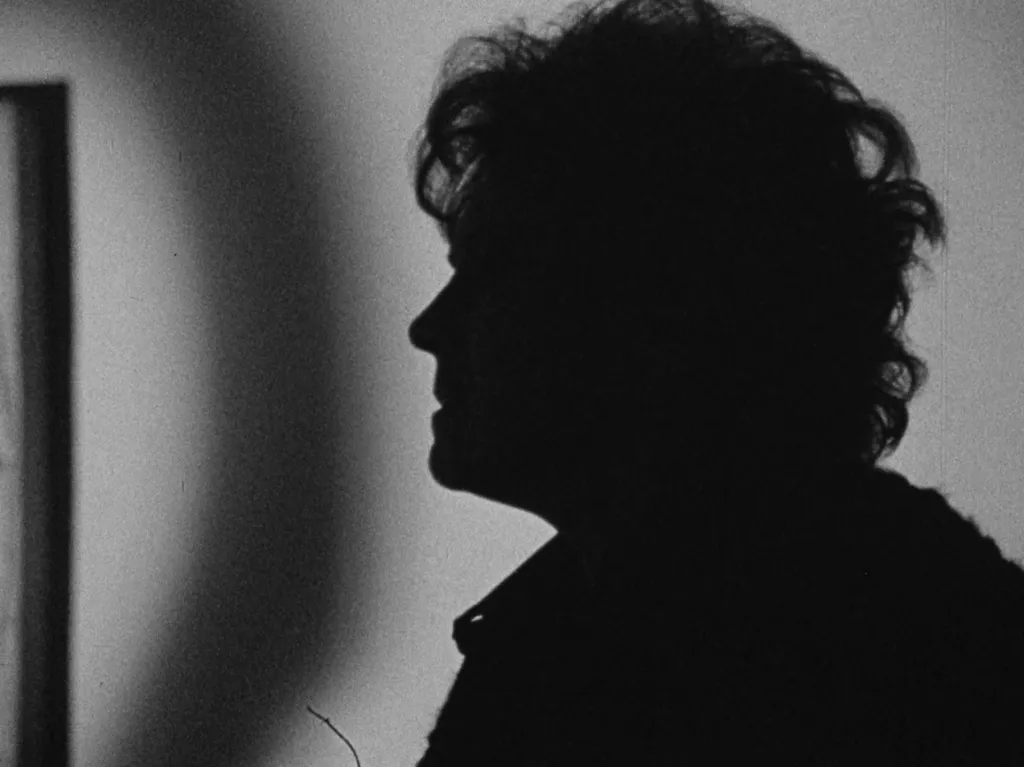 Vlasta Charamostová na filmovém plátně