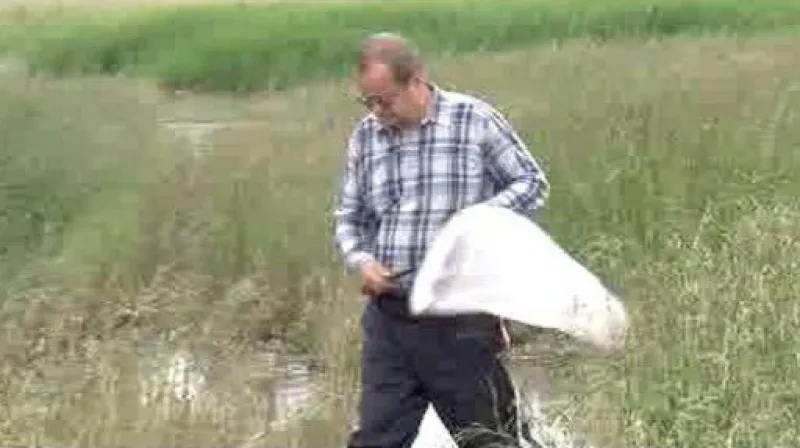 Moravu ničí po povodni komáři