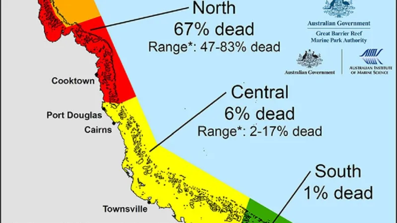 Poškození korálů