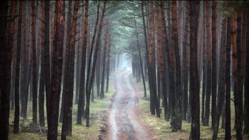 Rozhovor s Martinem Pýchou