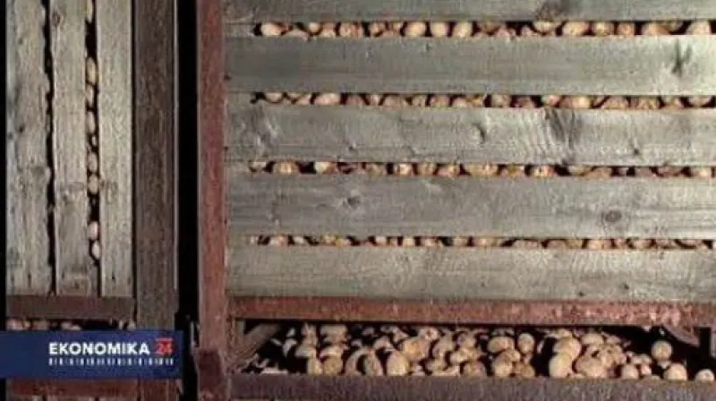 Ekonomika ČT24: Škrty v zemědělství