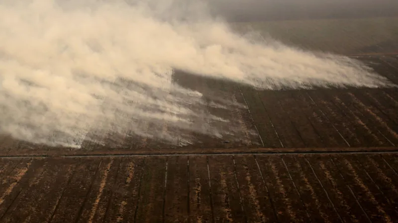 Hořící indonéský prales